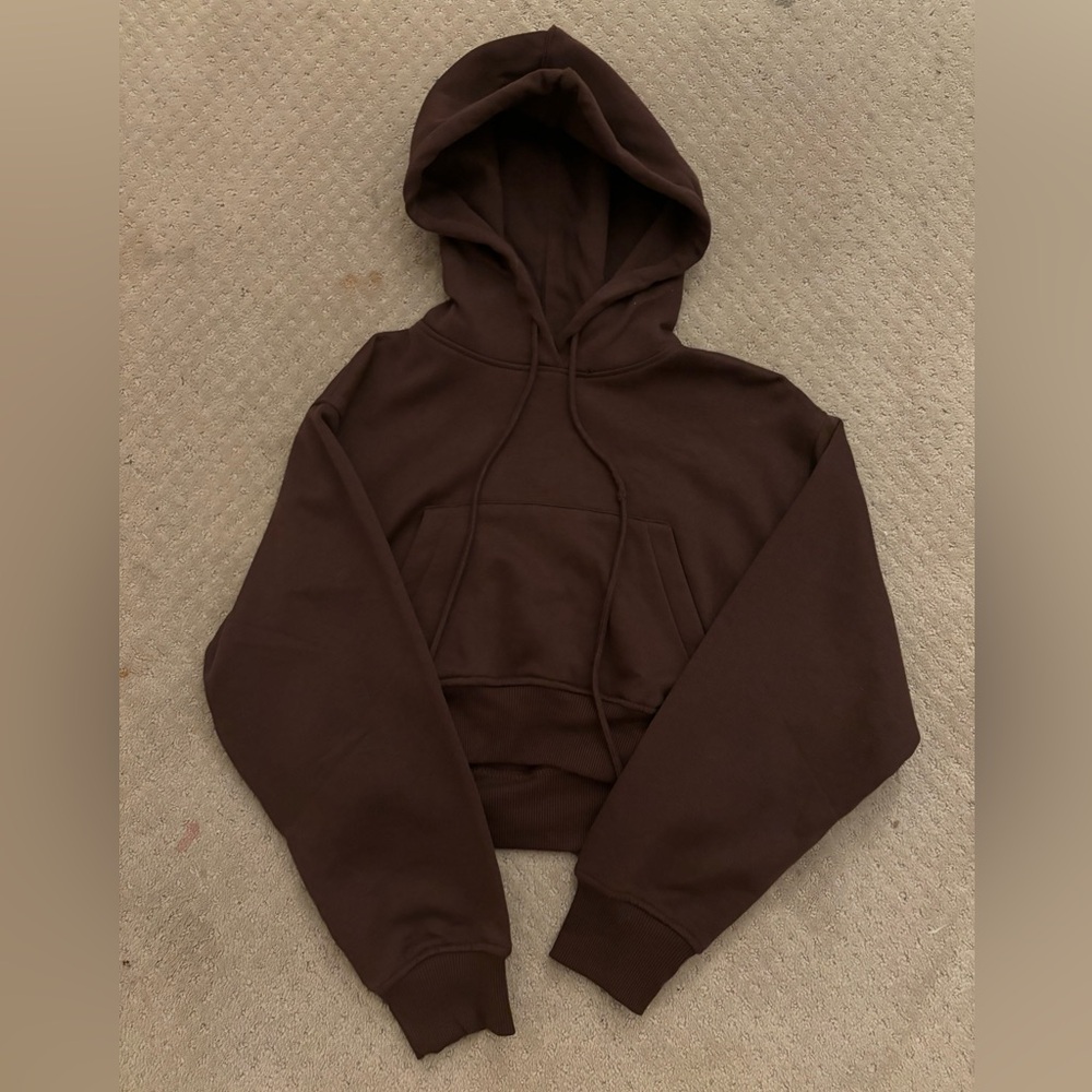 Brown Zara cropped sweater